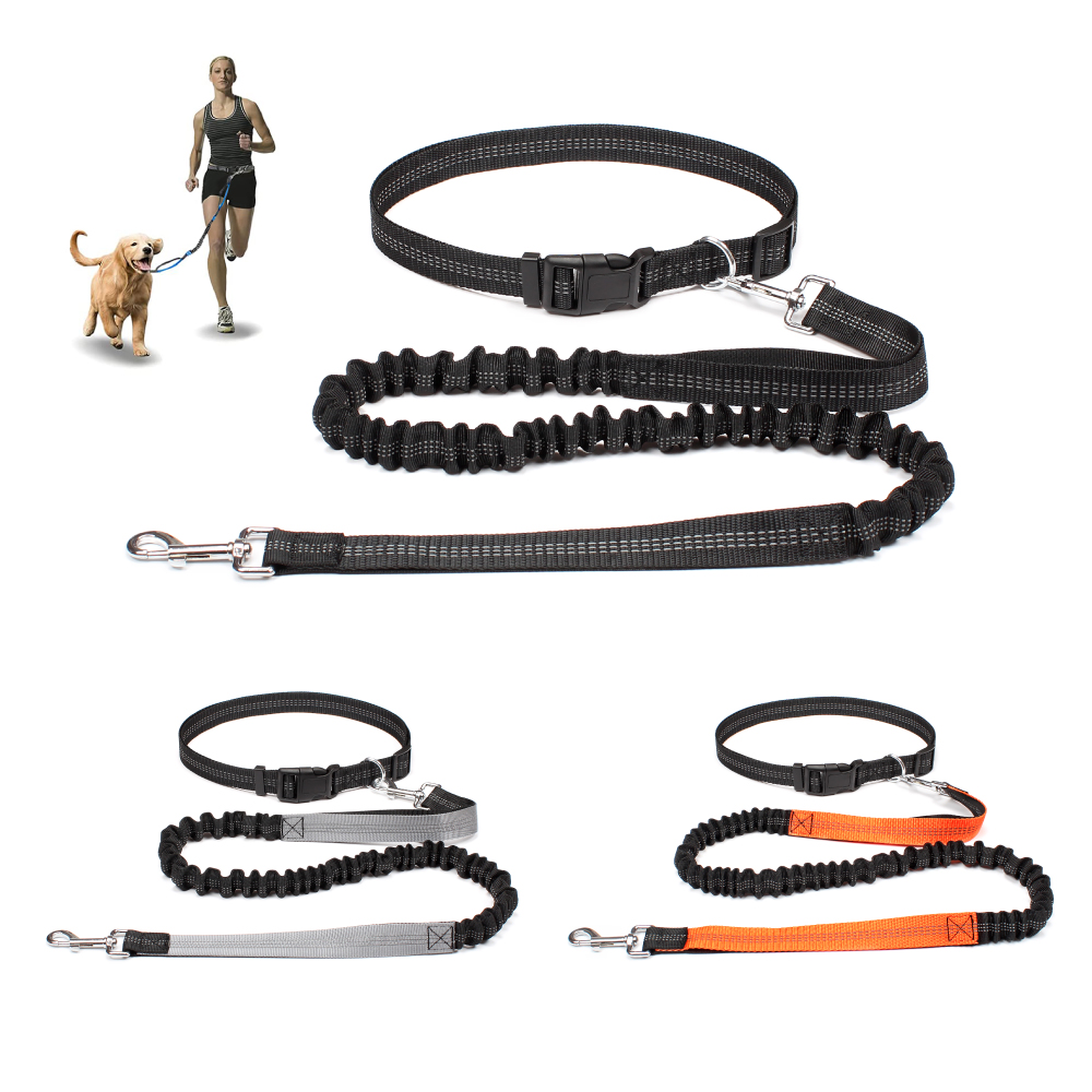 Поводок для собак без использо – обзор и цена Running Jogging Gear