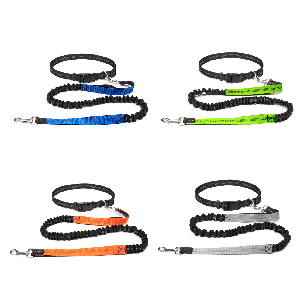 Поводок для собак без использо – обзор и цена Running Jogging Gear
